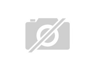 Trauringe und Verlobungsringe aus Gold und Platin